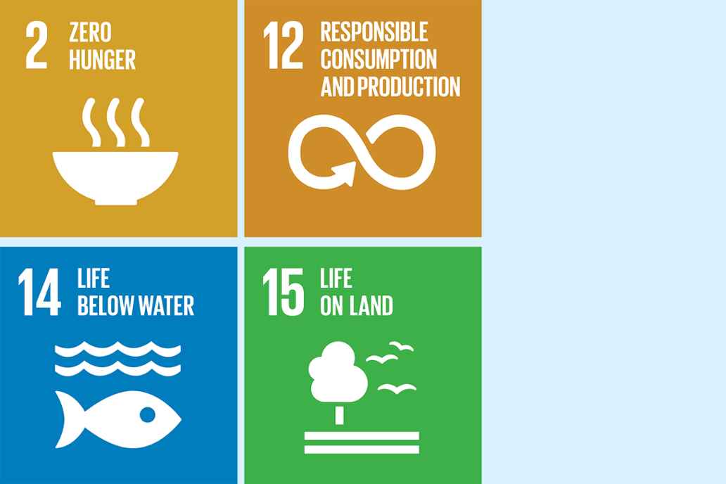 2. Zero hunger 12. Responsible consumption and production 14. Life below water 15. Life on land
