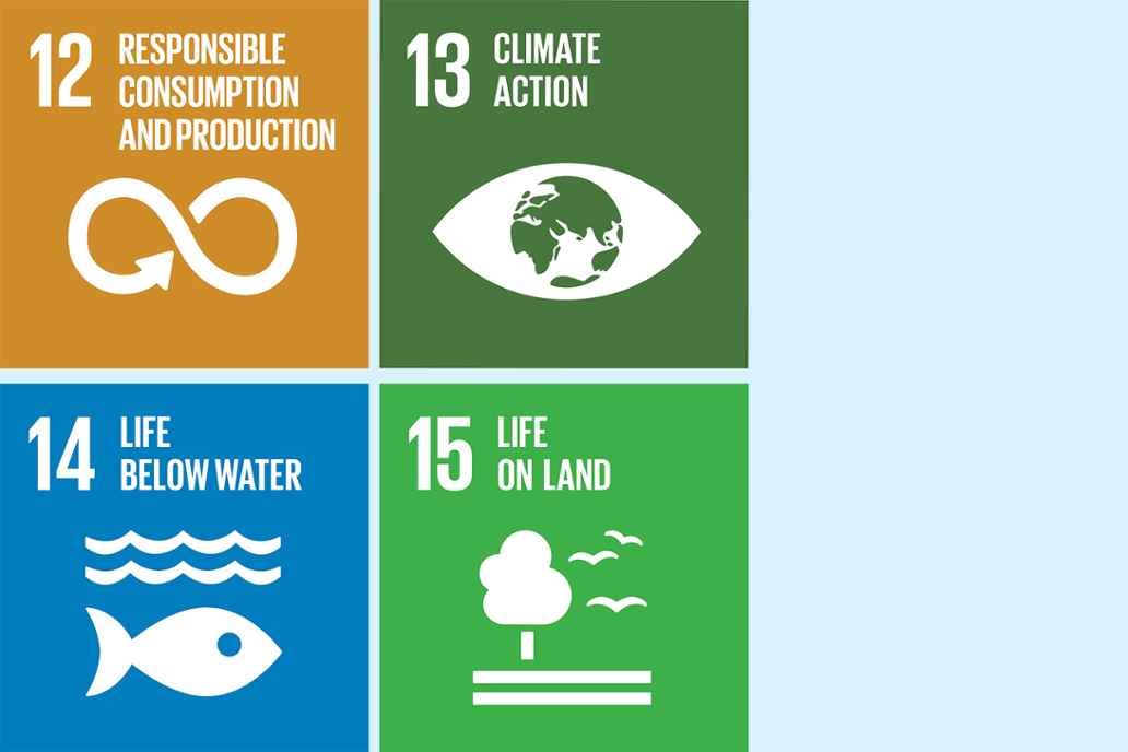 12. Responsible consumption and production 13. Climate action 14. Life below water 15. Life on land