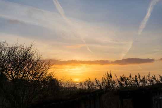 Nature development Triodos Bank