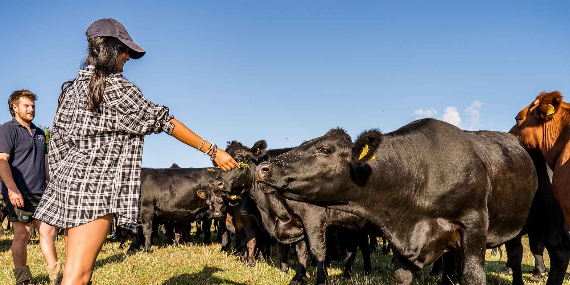 Cultivating community at Jamie's Farm