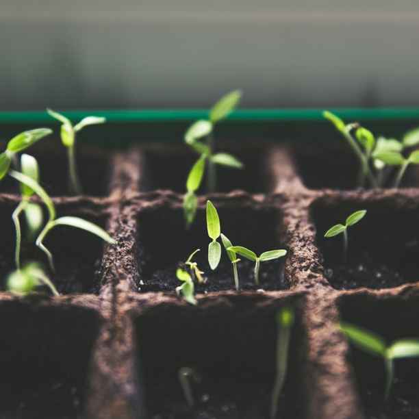 Triodos Sterling Bond Fund: investor update Q3 2023
