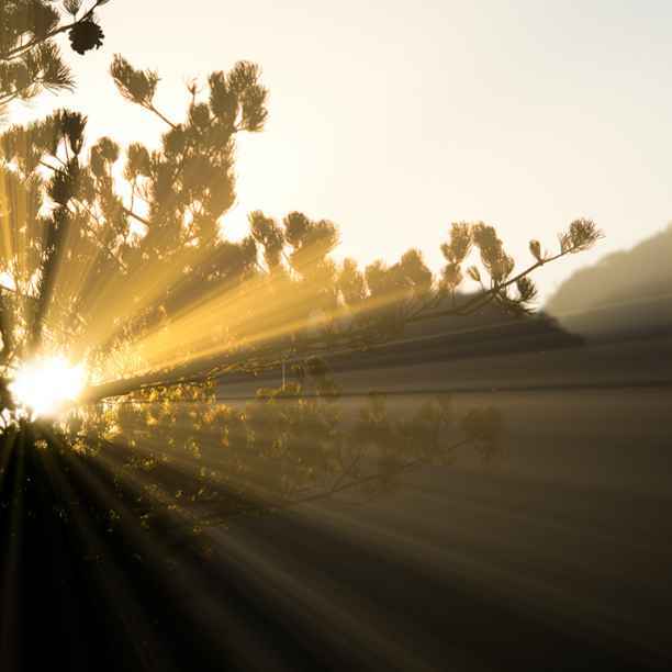 Mental health and nature