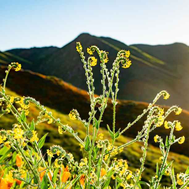 Five reasons why impact investing might be for you