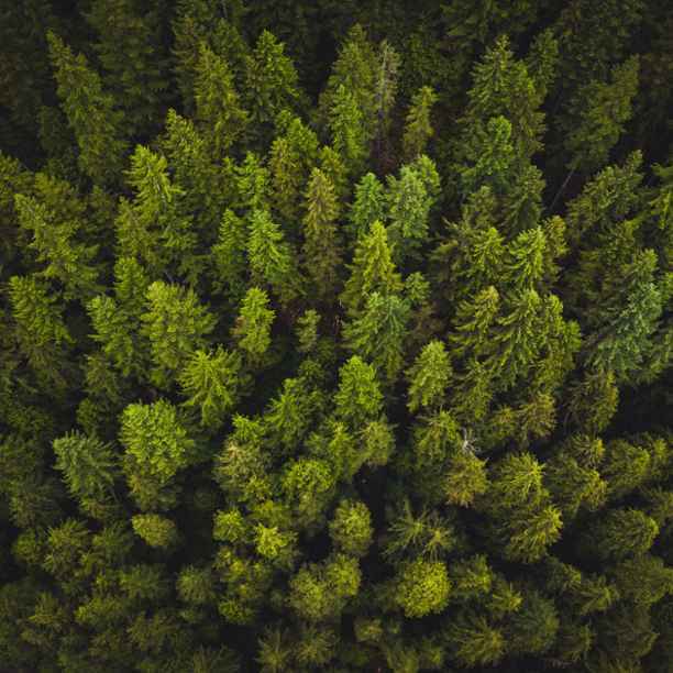 Goodbye to fifty shades of green