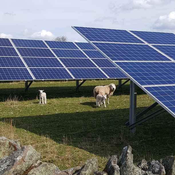 Community renewables – energy + impact