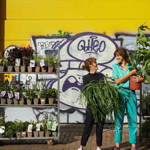 Nurturing change – organic and sustainable plants that boost biodiversity