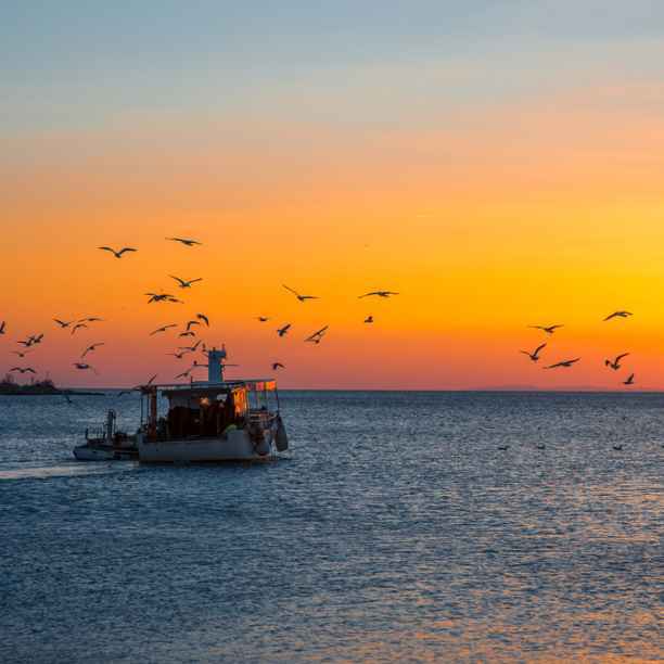 A deep dive into Fishtek Marine’s pioneering ocean protection solutions