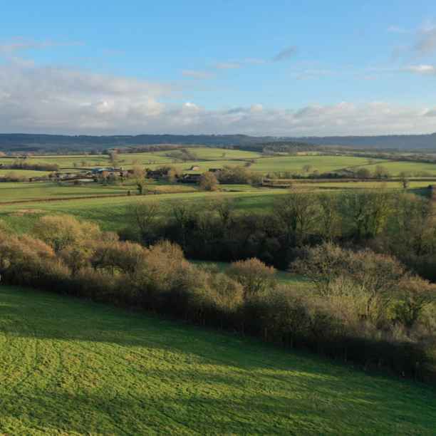 Encouraging investment in nature-based initiatives
