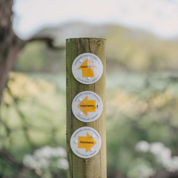 How does a Stocks and Shares ISA work?