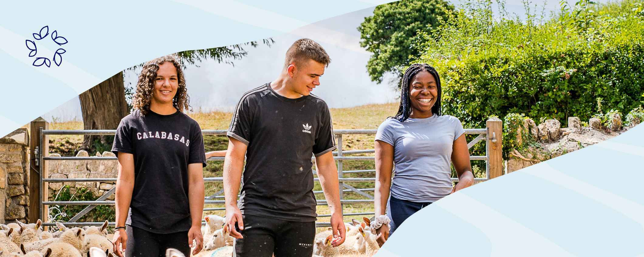 The teenagers are in a sheep pen surrounded by sheep on Jamie's Farm.
