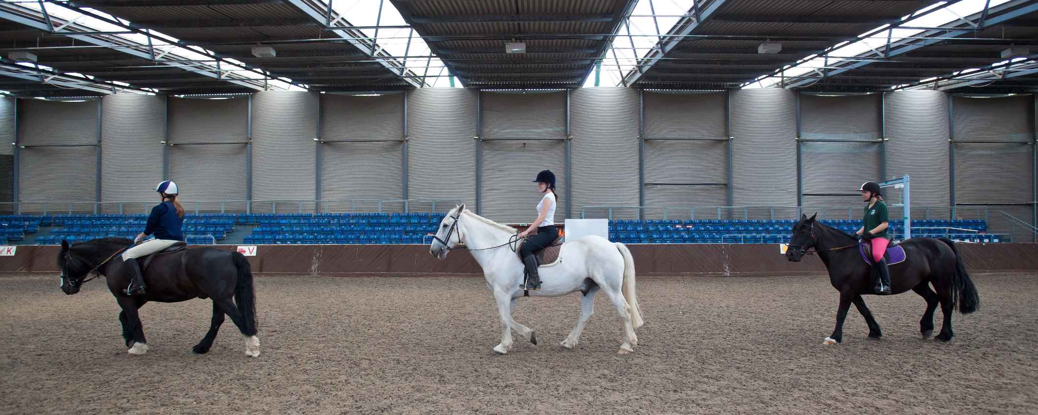Avon Riding Centre for the Disabled Triodos Bank