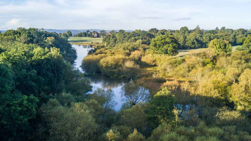 Knepp Estate, Sussex