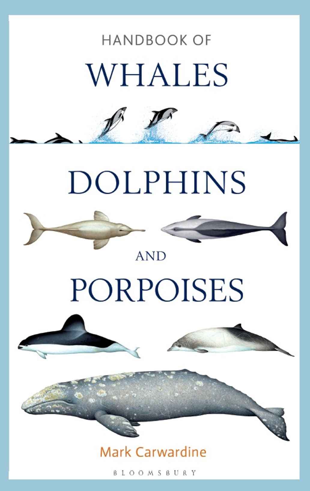 Handbook of Whales, Dolphins and Porpoises by Mark Carwardine