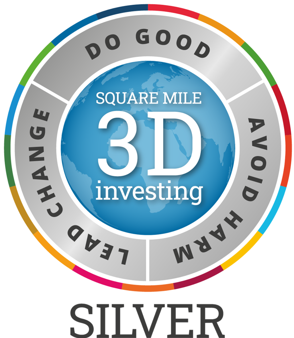 3D investing square mile logo silver award. Do good, avoid harm, lead change