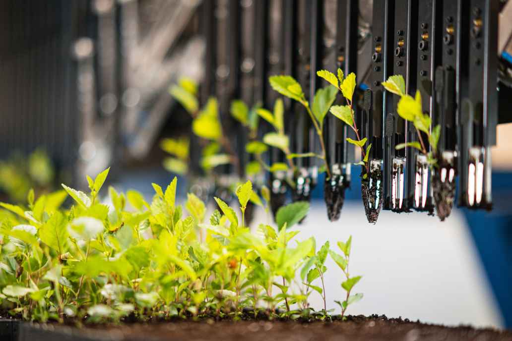 Akre nature restoration