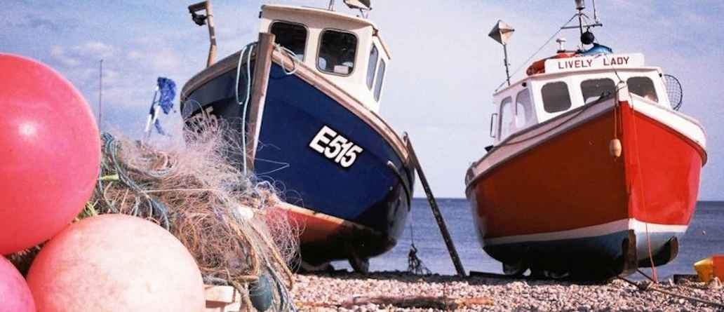 Fishing boats