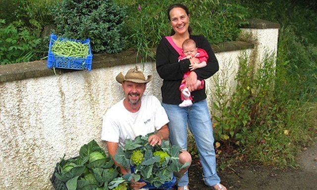 Troed-y-Rhiw Farms